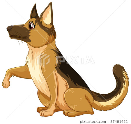 A dog on white background A dog on white background 87461421