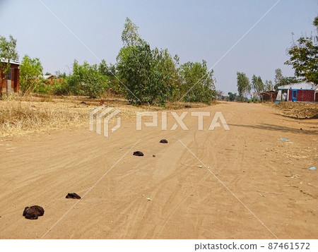 Everyday scenery of Malawi and Zomba in Africa (cow dung) 87461572
