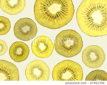 Golden kiwi cross section pattern ivory color back_horizontal 87462398
