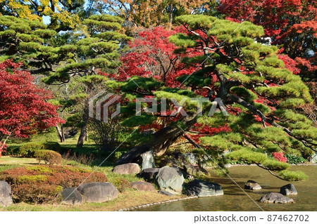 秋 皇宮東園 二之丸庭園 87462702