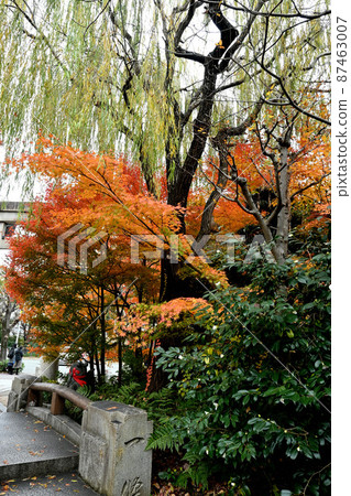 Seijimi Shrine Old · Ichijo bashi bridge Seijimi Shrine Old · Ichijo bashi bridge 87463007
