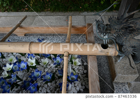 Seimei Shrine Chozuya 87463336