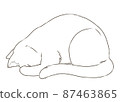 Sorry sleeping cat (coloring) 87463865