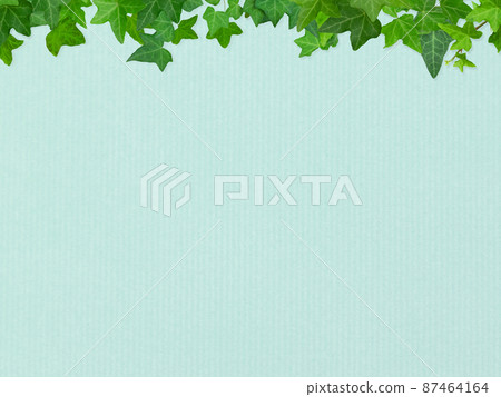 Refreshing light blue background and ivy 87464164