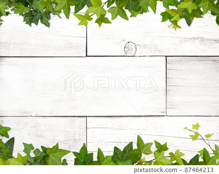 Natural background of white wood and ivy Natural background of white wood and ivy 87464213