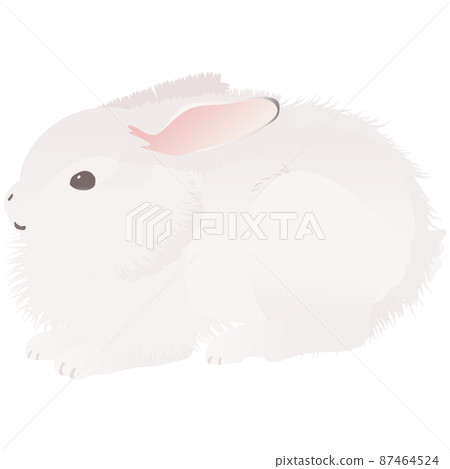 Round arctic hare cute rabbit vector illustration Round arctic hare cute rabbit vector illustration 87464524