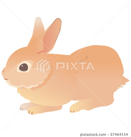 迷你雷克斯可愛兔子矢量圖 迷你雷克斯可愛兔子矢量圖 87464534