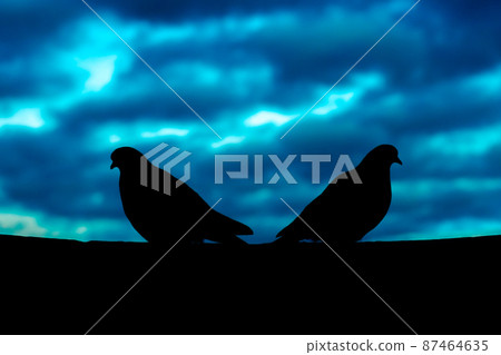 Couple breakup concept. The silhouette of two doves quarreled and sit apart against a gloomy sky. The clouds are blurry dark blue. Horizontal. 87464635