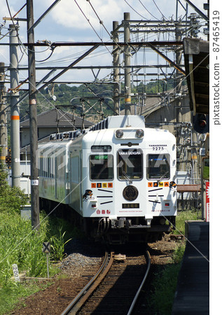 Wakayama Electric Railway Kishikawa Line Tama Train 87465419