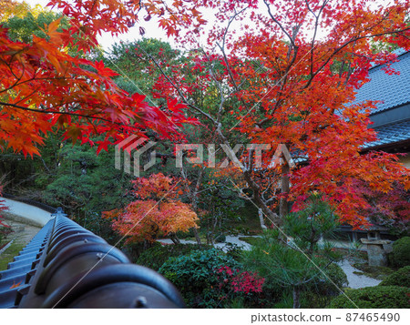 Temple of autumn leaves Hofukuji Temple, Okayama Prefecture 87465490