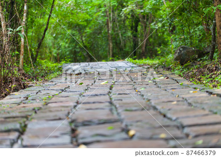 Stone pathway passing thru the Waterfall Stone pathway passing thru the Waterfall 87466379