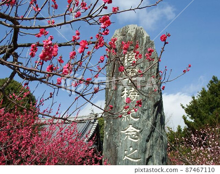 白將軍 白將軍 87467110