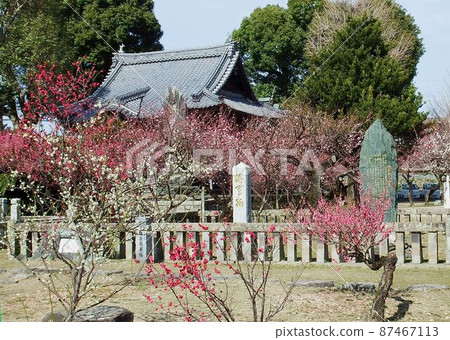 宮野津神社幕府將軍 宮野津神社幕府將軍 87467113