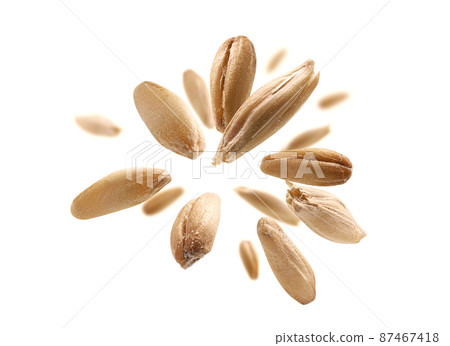 Oat grains levitate on a white background Oat grains levitate on a white background 87467418