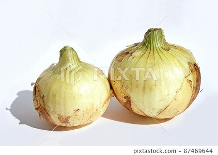 New onions 87469644