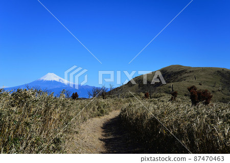 達磨山步道和富士山（靜岡縣伊豆市） 87470463