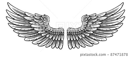 Pair of Spread Eagle or Angel Feather Wings Pair of Spread Eagle or Angel Feather Wings 87471878