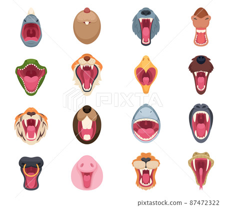 Angry animal mouth. Wild zoo character faces bear snake wolf and horse exact vector illustrations set Angry animal mouth. Wild zoo character faces bear snake wolf and horse exact vector illustrations set 87472322