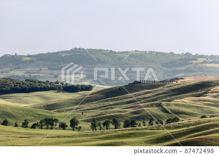 Whimsical silhouette of Tuscany hills covered with greenery in midday summer heat 87472498