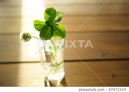 Five leaf clover 87472524