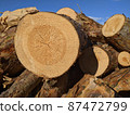 Chopped wood logs stacked outdoor. Round cut tree with annual rings aganst a blue sky background 87472799