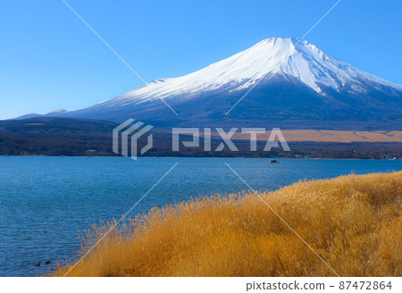 [Yamanashi Prefecture] Mt. Fuji seen from the shore of Lake Yamanashi 87472864