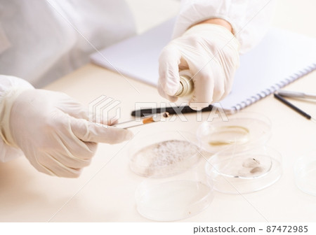 The young expert criminologist working in the lab 87472985