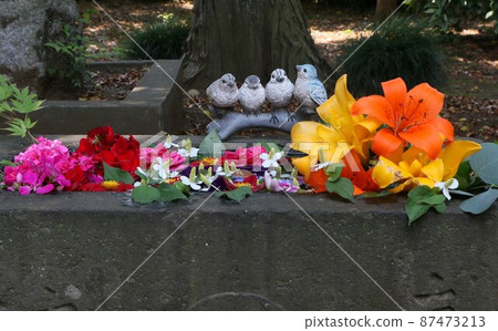 Flower water fountain at Hikawa Shrine in Niiza City Flower water fountain at Hikawa Shrine in Niiza City 87473213