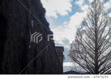 Buildings and trees 87473255