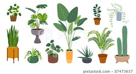 House plant. Different plants, cute hang succulents. Green leaf, home garden decorative pots on stand. Isolated monstera, cacti, classy vector set House plant. Different plants, cute hang succulents. Green leaf, home garden decorative pots on stand. Isolated monstera, cacti, classy vector set 87473637
