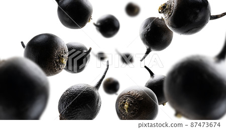 Black turnips levitate on a white background 87473674