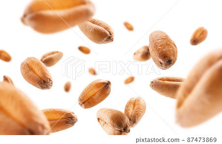 Wheat grains levitate on a white background 87473869