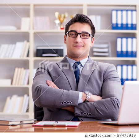 Businessman working in the office Businessman working in the office 87473919