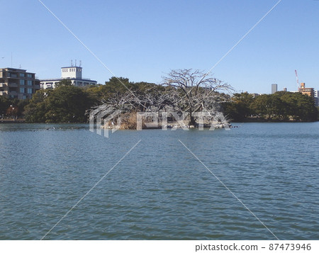 大濠公園（觀光景點：福岡縣福岡市中央區大濠公園） 87473946