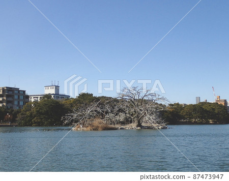 大濠公園（觀光景點：福岡縣福岡市中央區大濠公園） 87473947