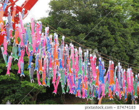    Carp streamer 87474183
