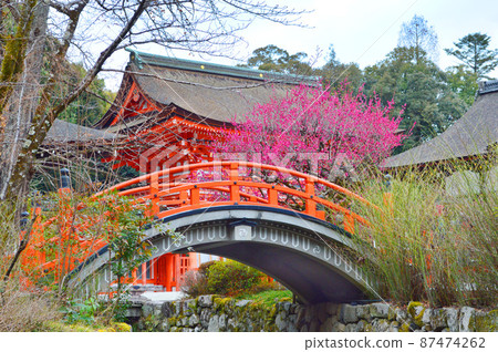 我在早春參觀的京都市的世界遺產下金神社很漂亮 87474262