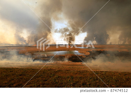 Watarase Seto的Yoshiyaki 87474512