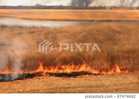 Yoshiyaki of Watarase Seto 87474692