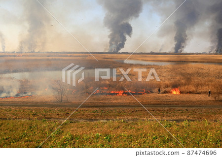 Yoshiyaki of Watarase Seto 87474696