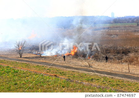 Yoshiyaki of Watarase Seto Yoshiyaki of Watarase Seto 87474697