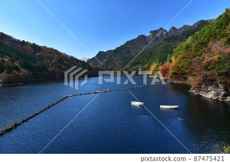 Autumn leaves of Nagasawa dam lake upstream of Yoshino River Autumn leaves of Nagasawa dam lake upstream of Yoshino River 87475421