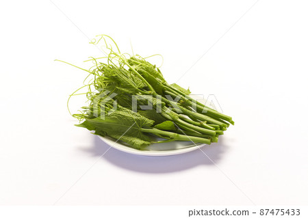 chayote leaves and stem on white background chayote leaves and stem on white background 87475433