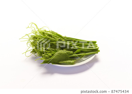 chayote leaves and stem on white background chayote leaves and stem on white background 87475434
