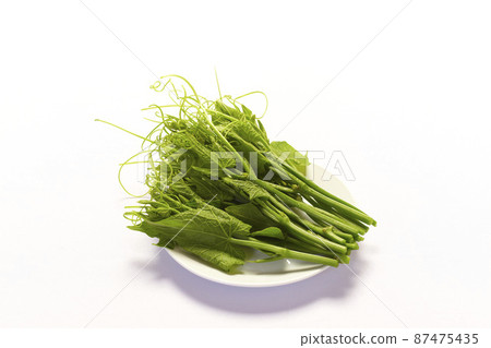 chayote leaves and stem on white background chayote leaves and stem on white background 87475435
