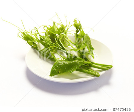 chayote leaves and stem on white background chayote leaves and stem on white background 87475436