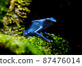 Yadokuda frog 87476014