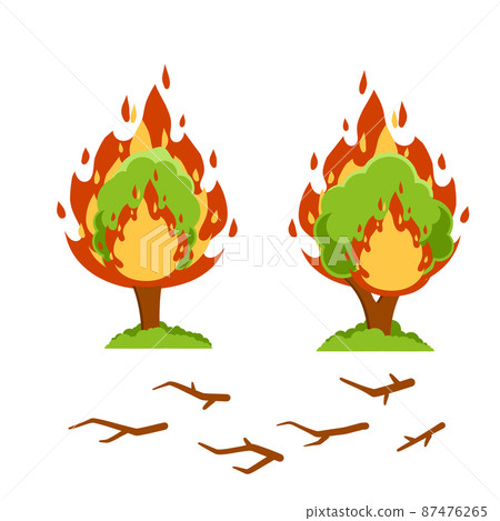 Forest fire. Natural disaster. Woodland problems. Dangerous situation 87476265