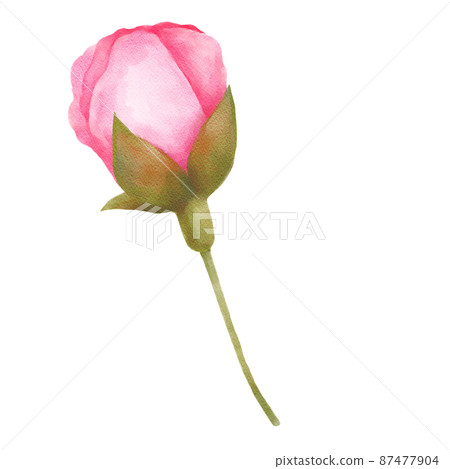 Watercolor material cherry buds 87477904