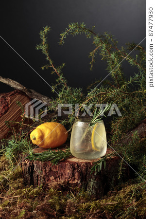 Gin and Tonic cocktail with lemon and rosemary. Gin and Tonic cocktail with lemon and rosemary. 87477930